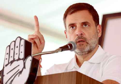 Rahul Gandhi leads with decisive margin from Raebareli, Sharma leads in Amethi