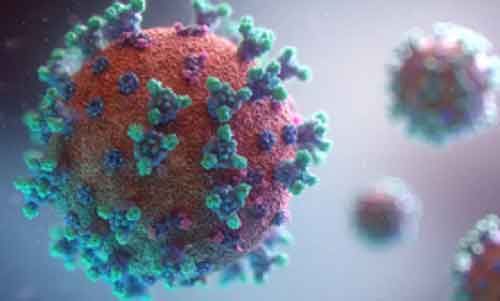 Antimicrobial resistance among top health threats, over 2 people die every minute: Experts