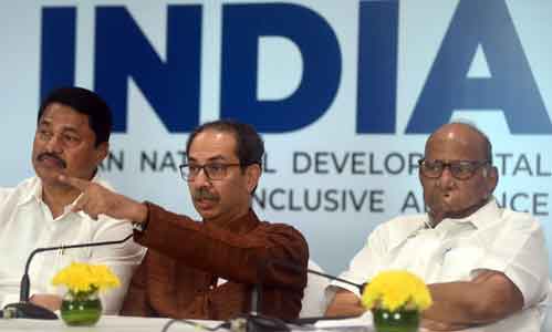 MVA exceeds expectations in Maha Lok Sabha polls, MahaYuti belies predictions