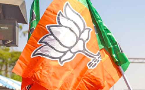 BJP leading in all 29 seats in MP, Congress zero