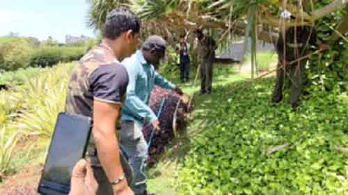 Cobra rescued from near Chhatrapati statue outside Mumbai airport