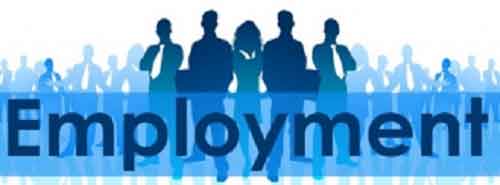 India to see over 6 pc employment growth across key industries in April-Sep