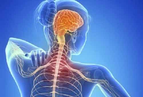 Young, women more likely to suffer from multiple sclerosis: Experts