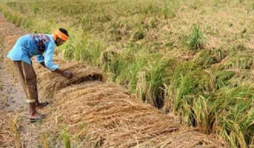 Yogi govt ramps up efforts to safeguard crops from impending monsoon floods