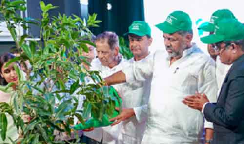Two lakh saplings to be planted in Bengaluru this year, says Deputy CM Shivakumar