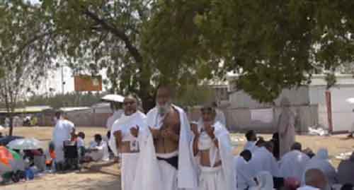 Indian Haj Mission goes all out to provide assistance as pilgrims gather at Mount Arafat