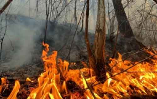 Wildfire forces 1,200 people to evacuate in California