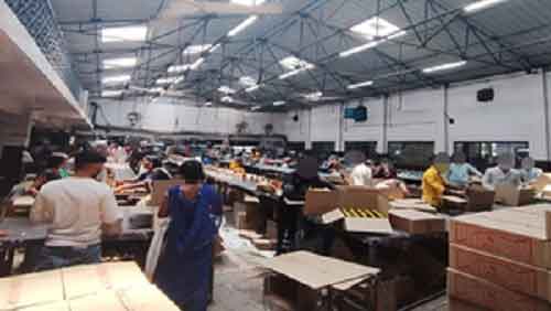 58 children rescued from liquor distillery in MP, says NCPCR