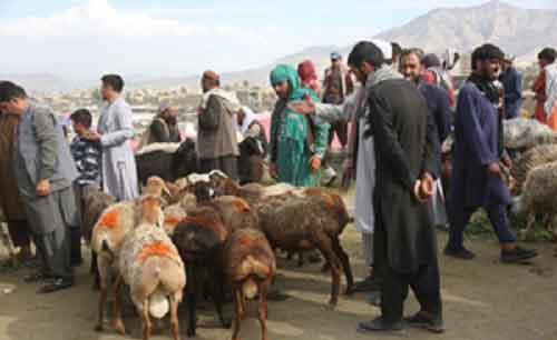 Afghans celebrate Eid al-Adha amid tight security