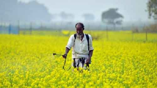 UP govt to set up farmer-producer cell to boost agriculture