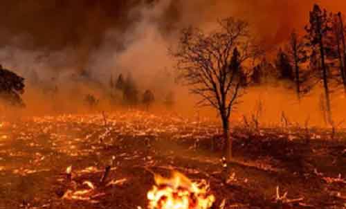 US: One dead as wildfires rage in New Mexico