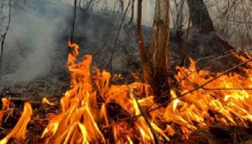 Over 28,000 under evacuation orders as fast-moving wildfire expands in California