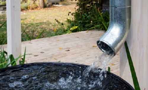 Pilibhit, Ayodhya top in ‘Catch the Rain’ campaign in UP