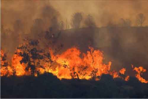 Death toll in forest fire in Turkey mounts to 11