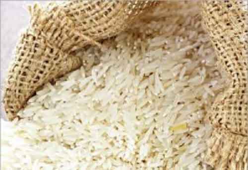 Punjab Vigilance Bureau seizes 1,138 bags of diverted rice meant for poor