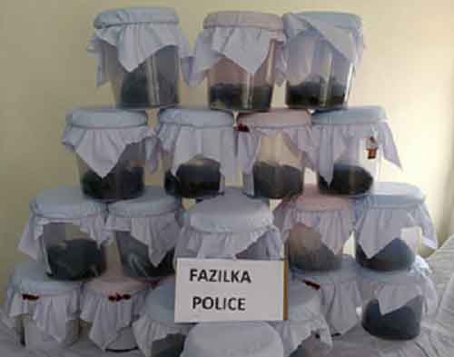 Punjab Police bust interstate drug smuggling syndicate, arrest man from Jharkhand