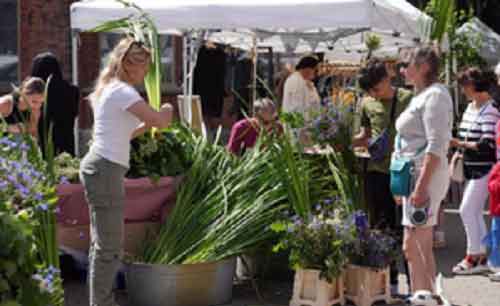 Health warnings issued amid sweltering heat in Latvia