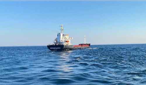 Cargo vessel with wheat from Russia grounded off Istanbul
