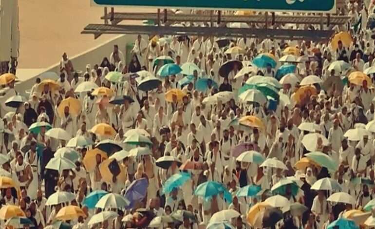 Saudi Arabia registers 1,301 pilgrim deaths during Haj