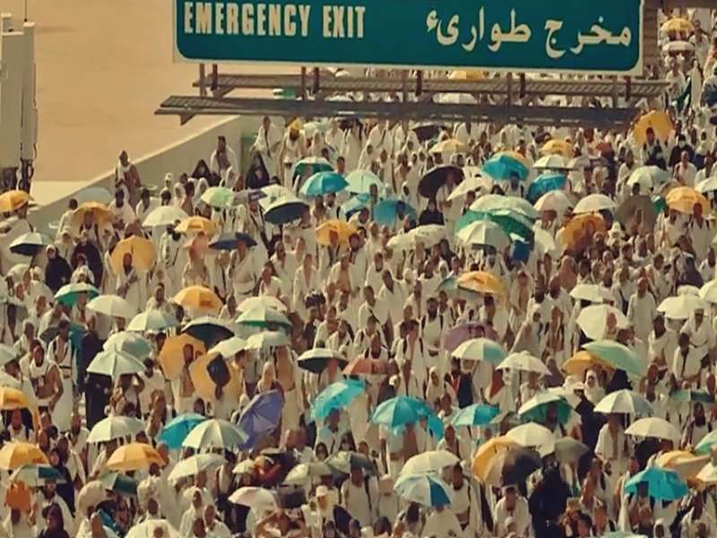 Saudi Arabia registers 1,301 pilgrim deaths during Haj