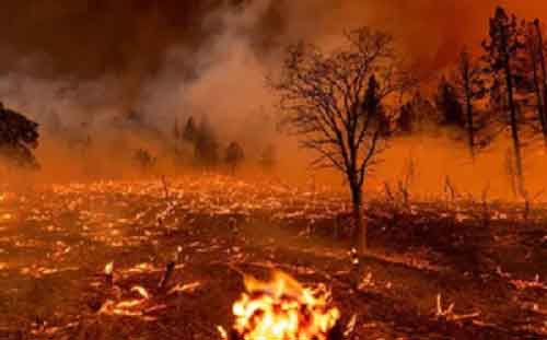 Wildfire breaks out on Mount Parnitha near Athens