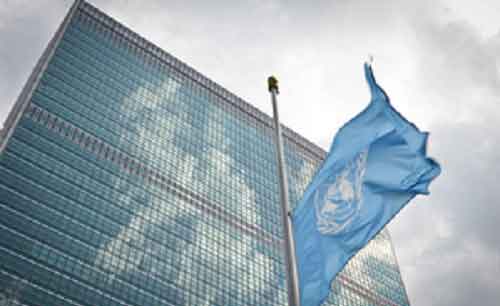 UN proposes to share DNA sequences of plants, animals & microbes at COP16
