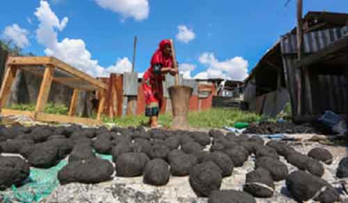 Haryana to get waste-to-charcoal plant soon