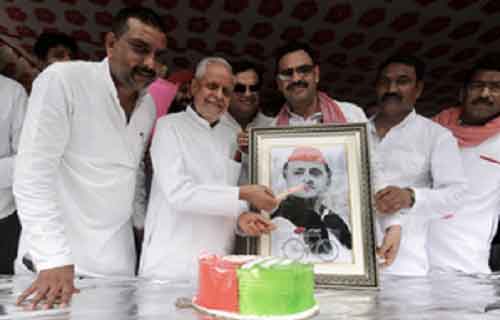 SP celebrates Akhilesh’s birthday by planting trees, holding ‘bhandaras’