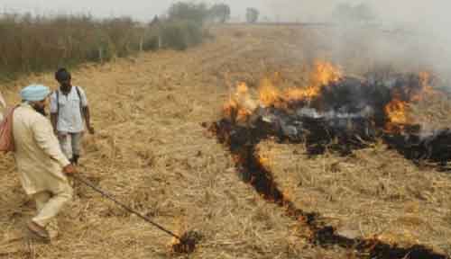 Nearly half of Punjab’s crop residue machine users continue to burn loose straw: Study