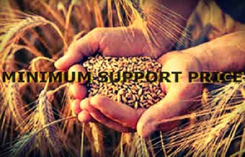 Govt buys 266 lakh tonnes of wheat at MSP; Rs 61 lakh crore credited to farmers’ accounts