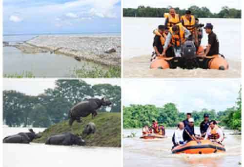 Flood situation worsens in Assam, death toll rises to 52
