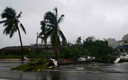 5 killed by tornadoes in China
