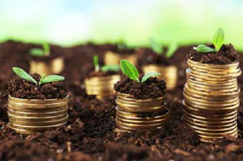 ‘Indexation’ from mutual funds has gone away: Edelweiss’ Radhika Gupta