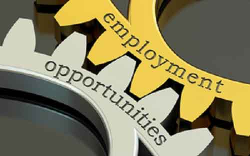 Govt cites data on job creation to refute Citigroup report on employment in India