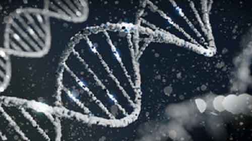 Scientists develop platform to help define functions for ‘orphan’ metabolic proteins