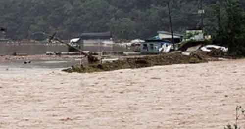 Death toll rises to five as heavy rains lash South Korea