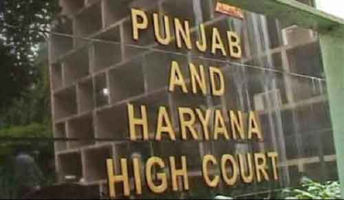 Open Shambhu border within one week: Punjab and Haryana High Court