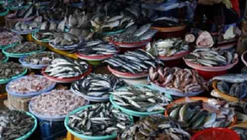 Centre holding Fisheries Summer Meet 2024 in Madurai