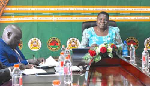 Malawian government to engage diaspora community on mining