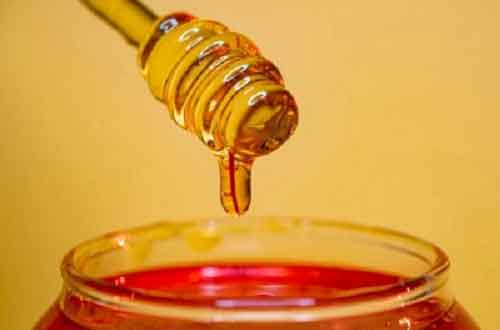 Myanmar exports over 500 tonnes of honey in April-June
