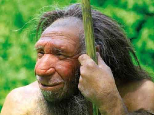 Chinese, US scientists identify gene flow of modern humans with Neanderthals
