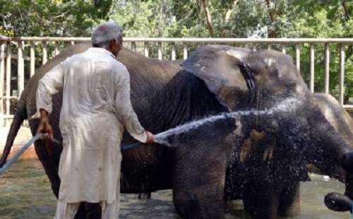 Pakistan’s Karachi might face elevated temperature