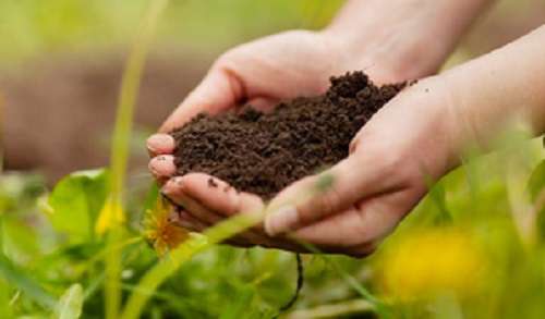 Laos plans to boost sustainable agriculture