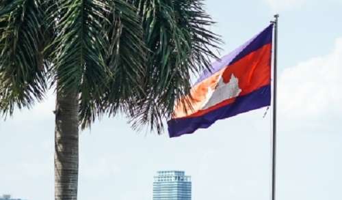 Cambodia earns over 213 million USD from rubber exports in first six months of 2024