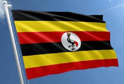 Uganda’s coffee export earnings reach 30-year high