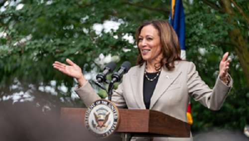 Democrats’ challenge is to quickly translate Kamala Harris’s unshakeable support into nomination