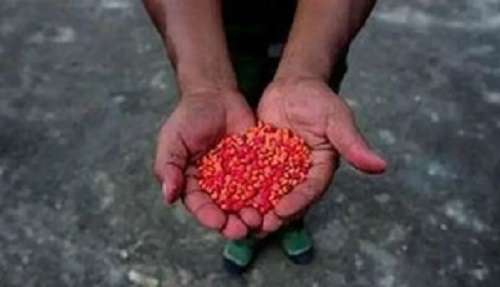 250,000 stimulant tablets seized in Myanmar