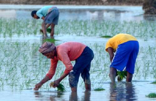 Budget gives big boost to agriculture sector