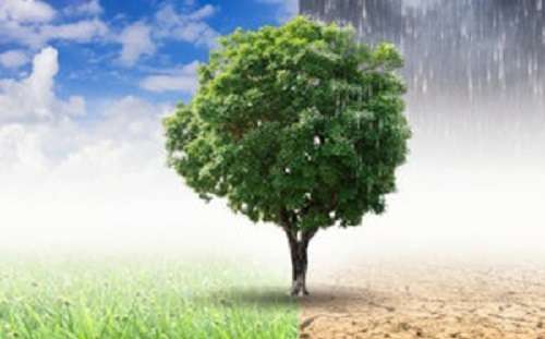 Centre’s move for climate finance taxonomy will standardise green bond, market: Experts