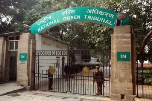 Illegal cutting of trees in Nainital: NGT summons Uttrakhand officials for ‘lack of sincerity’